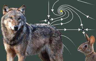 Differential Equations: 2x2 Systems MTH-211